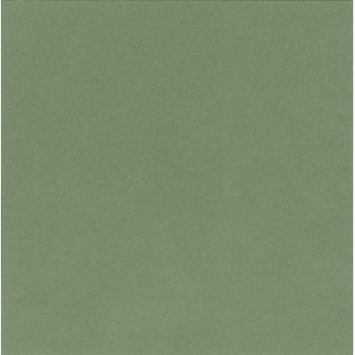 Aicham Larson-Juhl Artique Agave A4876 81x102