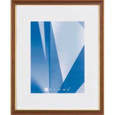 Aicham Larson-Juhl IFrame-Fulda Braun/Gold 18x24 513215-0516